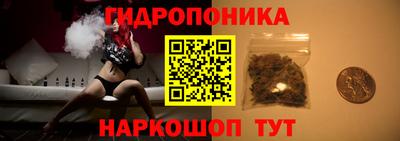 твердый Сланцы