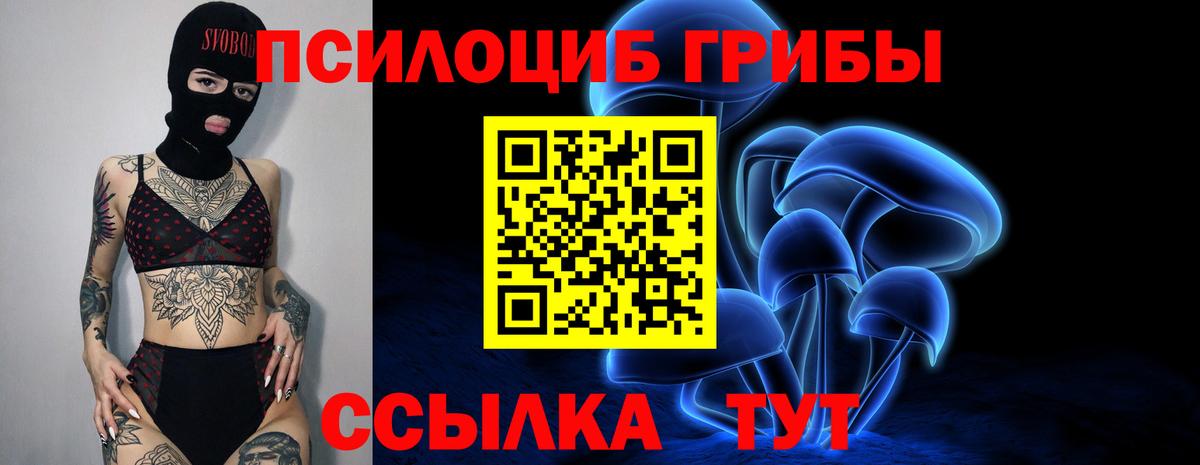 Октябрьский  Псилоцибиновые грибы MAGIC MUSHROOMS  Вход с VPN 