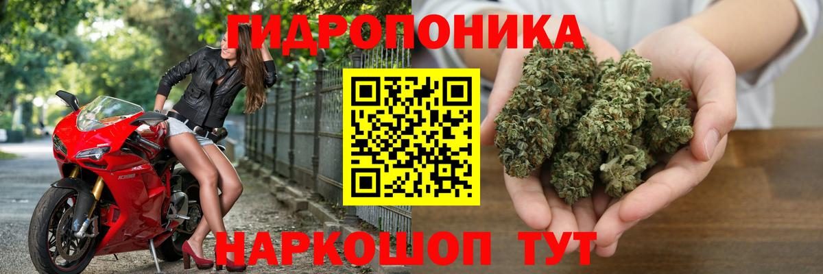 Шишки марихуана семена  Шишки марихуана семена  Октябрьский  Шишки марихуана THC 21%  Вход с VPN 